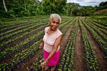 Achieving gender equality in land ownership would empower women and give them greater influence over the way that land is used. In the picture: Luz Evelia Godines Solano, a coffee farmer from Nicaragua.