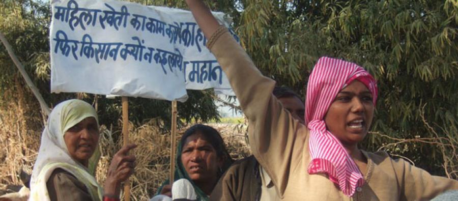 Nuzhat Ansari driving her bullock cart as part of a small farmer rally in Biona Ranja village, Uttar Pradesh, India