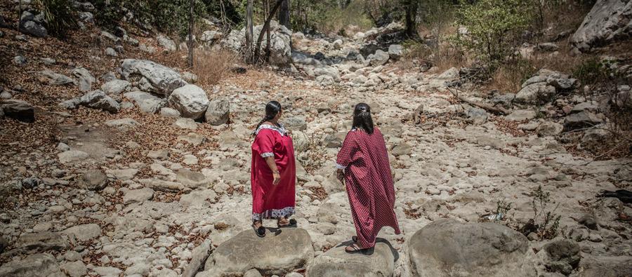 Women Defenders Of The Land And The Environment Silenced - 