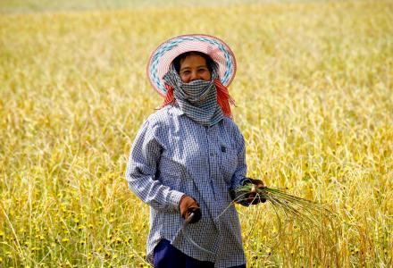 Noograi Snagsri now spends less time working in her fields thanks to the new integrated farming system where water is piped directly into the fields. Photo credit: Mongkhonsawat Luengvorapant/ Oxfam
