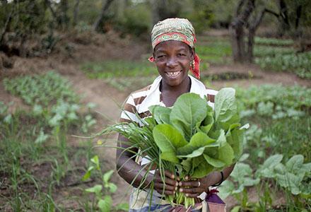 oxfam mozambique paradoxically macro economy faces doing such does well