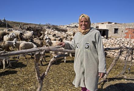 Atika helps take care of a neighbors livestock in her village as an extra income.