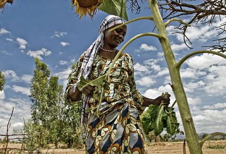 tanzania oxfam international