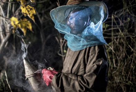 Women Oxfam have trained in bee keeping as part of alternative livelihood. Ghana